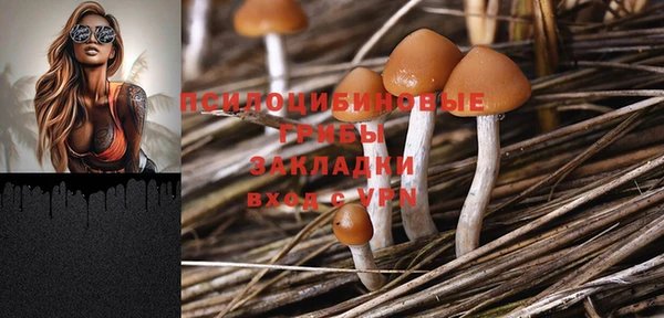 винт Алзамай